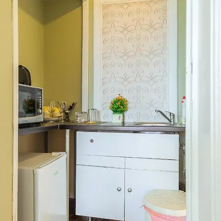 Panoramic Cismigiu Park * 布加勒斯特