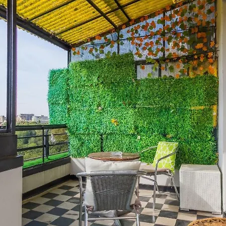 Panoramic Cismigiu Park * 布加勒斯特