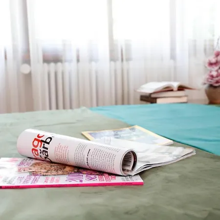 Panoramic Cismigiu Park 公寓