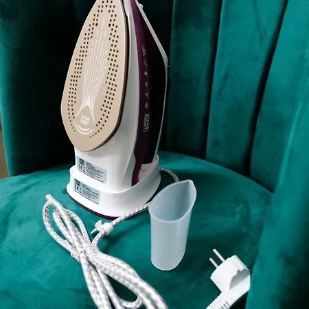 Panoramic Cismigiu Park 公寓 布加勒斯特